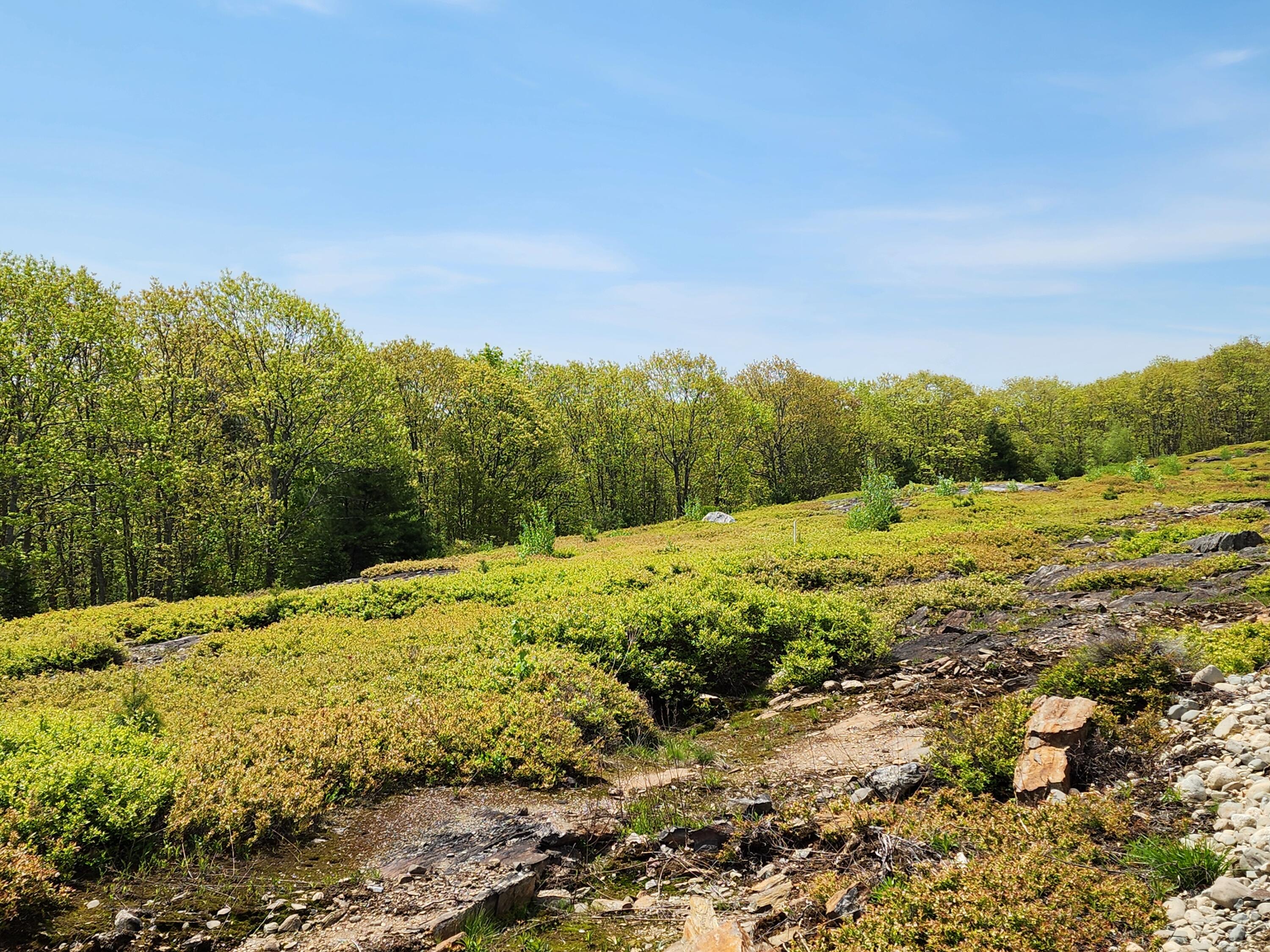 4 Whispering Berries Hill Liberty ME 04949