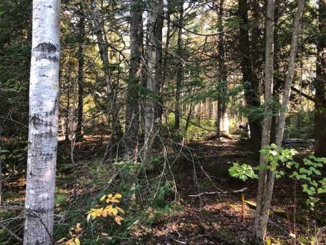 163 Lyons Road Lubec ME 04652