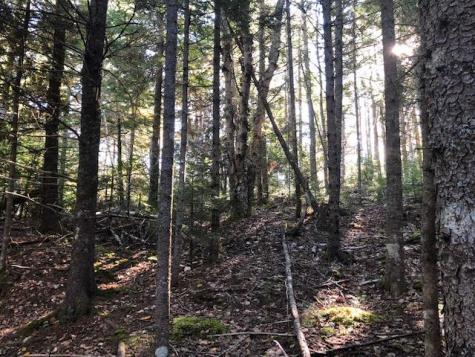 163 Lyons Road Lubec ME 04652