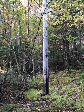 163 Lyons Road Lubec ME 04652