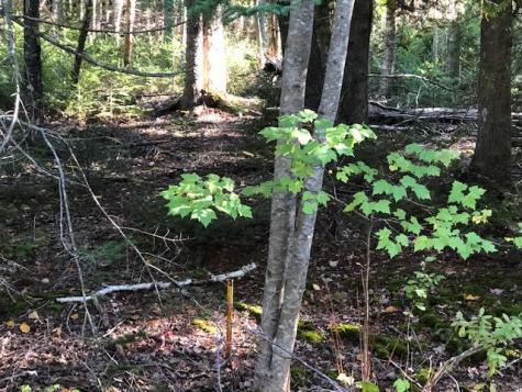 163 Lyons Road Lubec ME 04652