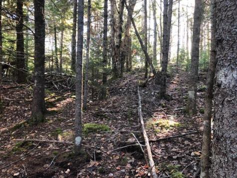 163 Lyons Road Lubec ME 04652