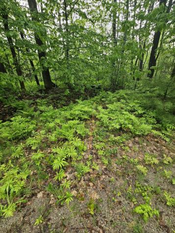 0 Fayette Ridge Road Fayette ME 04349