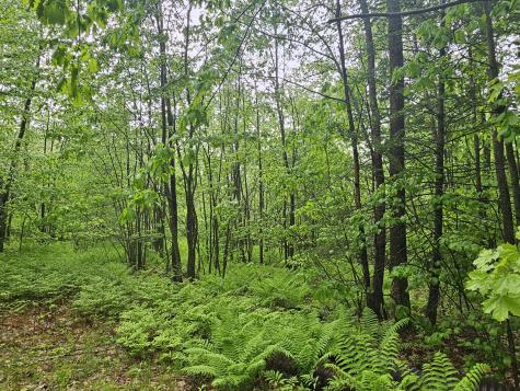 0 Fayette Ridge Road Fayette ME 04349