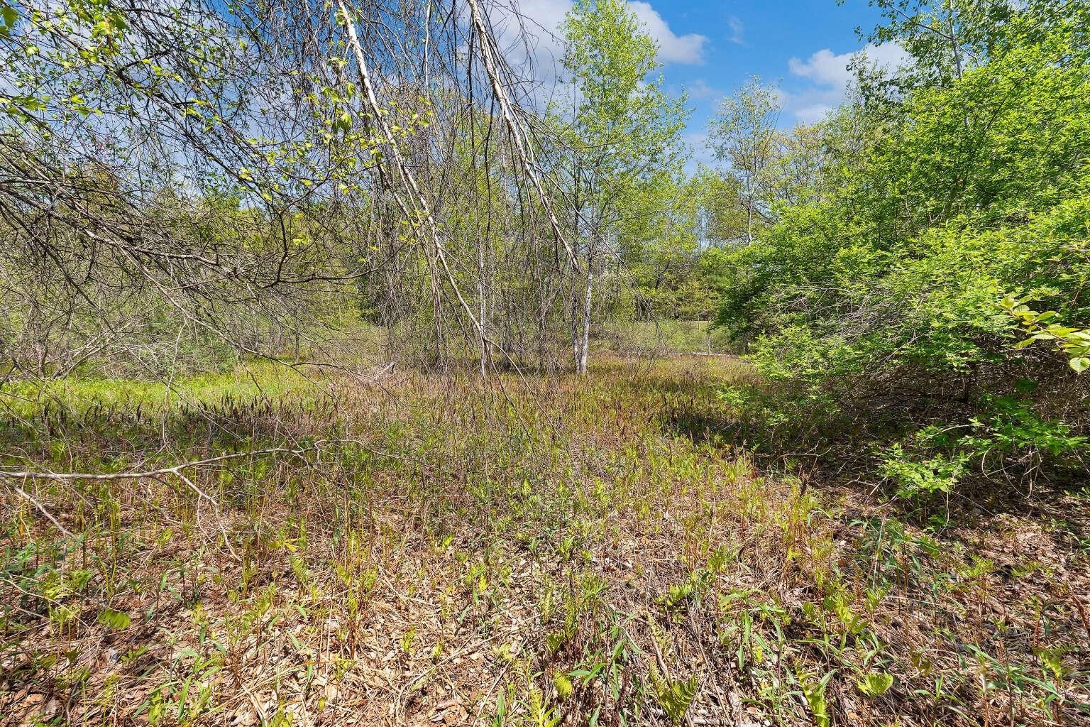 Lot A River Road Leeds ME 04263