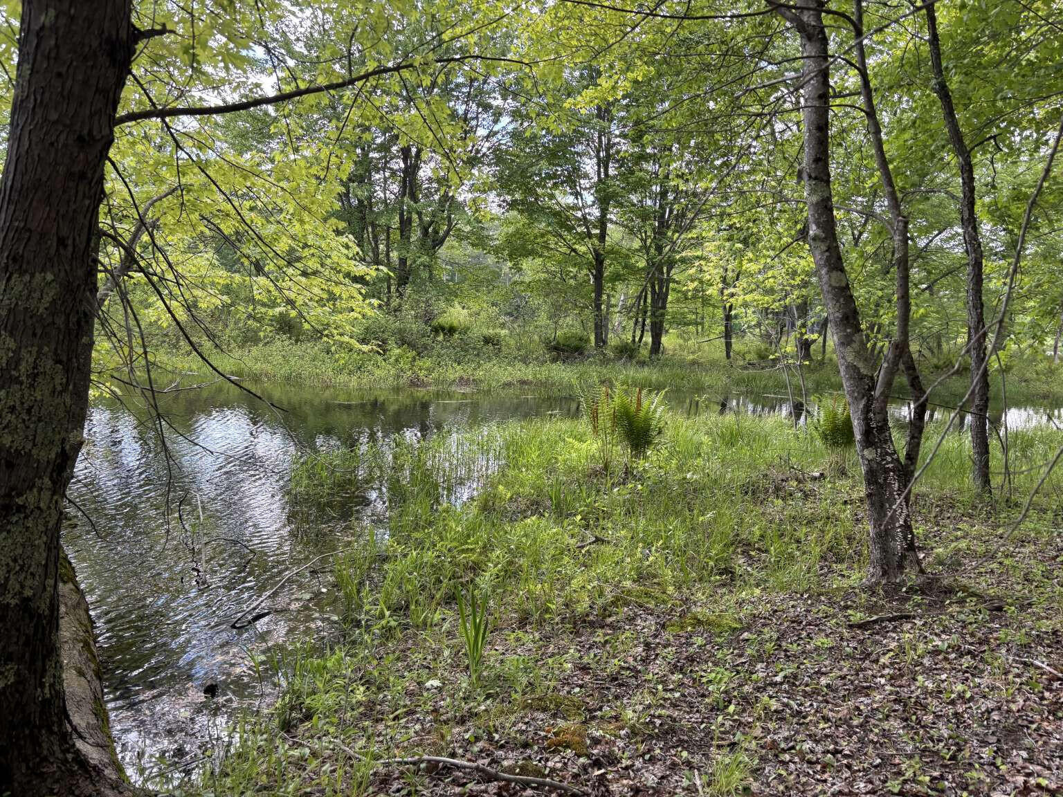 Lot A River Road Leeds ME 04263