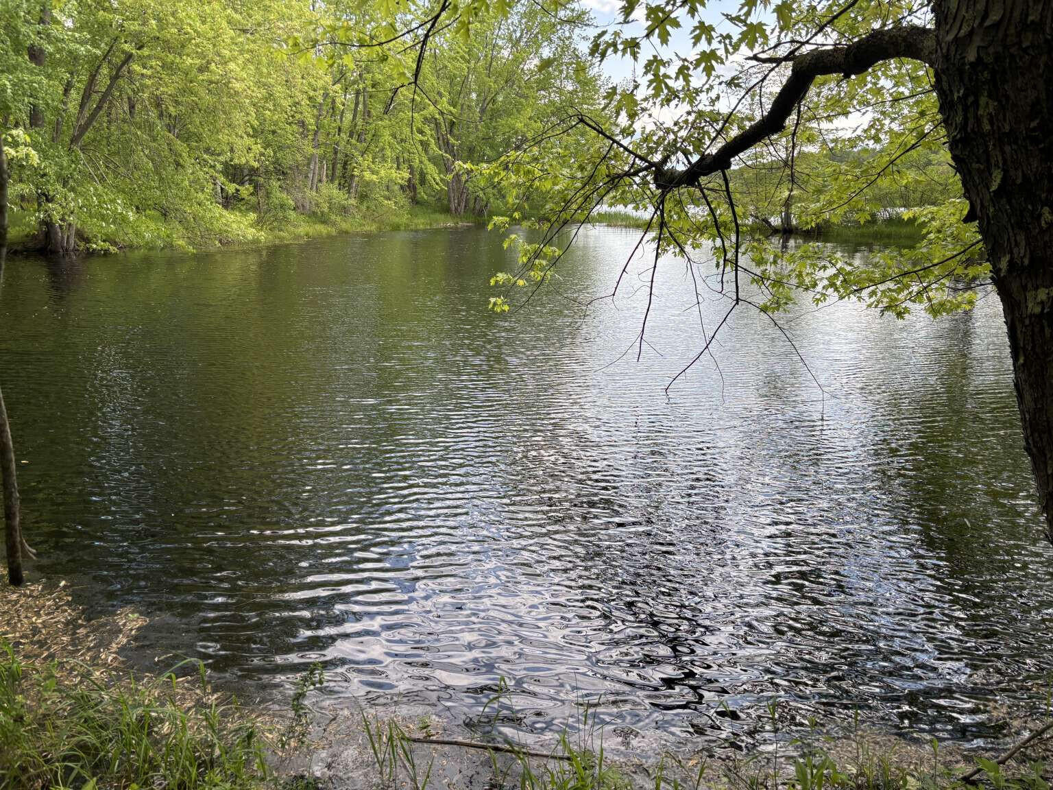 Lot A River Road Leeds ME 04263