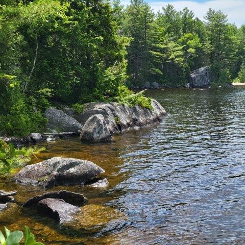 15, 15.1 Wadleigh Pond Road T4 Indian Purchase Twp ME 04462