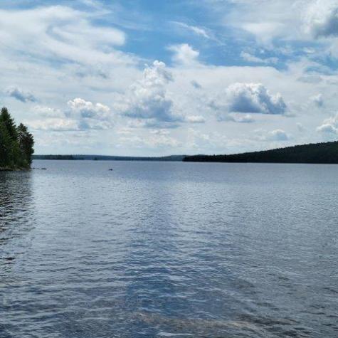 15, 15.1 Wadleigh Pond Road T4 Indian Purchase Twp ME 04462