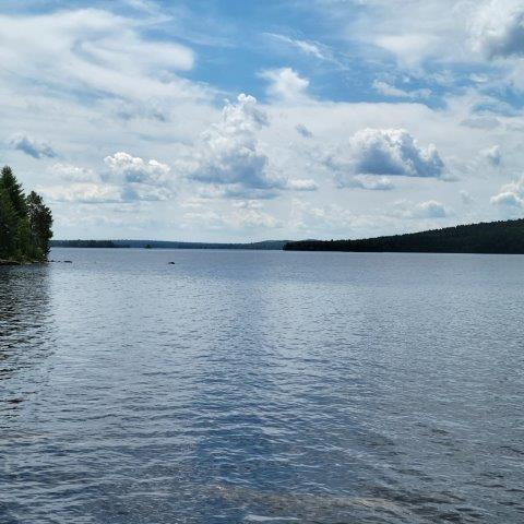 15, 15.1 Wadleigh Pond Road T4 Indian Purchase Twp ME 04462