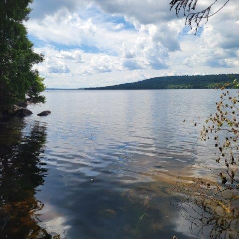 15, 15.1 Wadleigh Pond Road T4 Indian Purchase Twp ME 04462