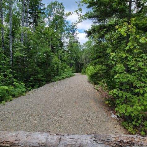 15, 15.1 Wadleigh Pond Road T4 Indian Purchase Twp ME 04462