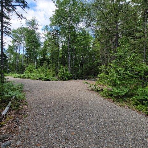 15, 15.1 Wadleigh Pond Road T4 Indian Purchase Twp ME 04462