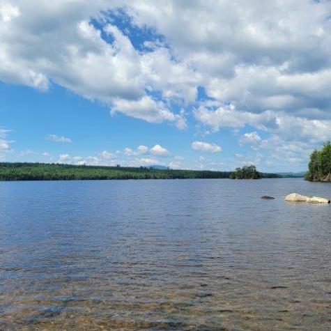15,15.1 Wadleigh Pond Road T4 Indian Purchase Twp ME 04462