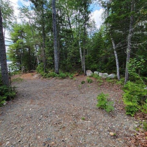 15, 15.1 Wadleigh Pond Road T4 Indian Purchase Twp ME 04462