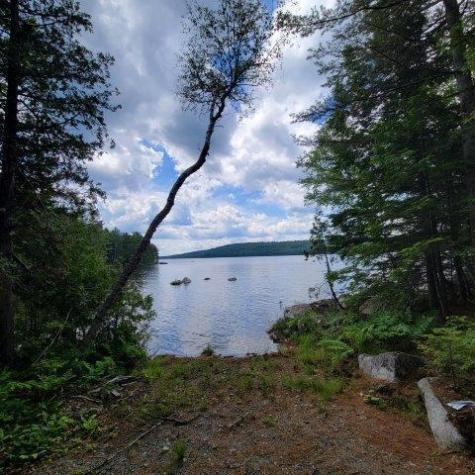 15, 15.1 Wadleigh Pond Road T4 Indian Purchase Twp ME 04462