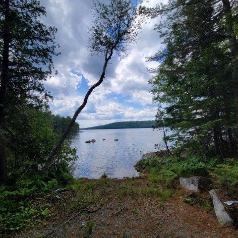15, 15.1 Wadleigh Pond Road T4 Indian Purchase Twp ME 04462