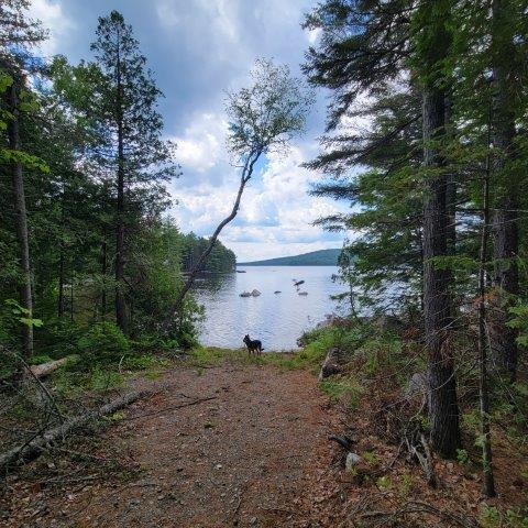 15, 15.1 Wadleigh Pond Road T4 Indian Purchase Twp ME 04462