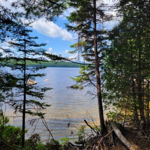15, 15.1 Wadleigh Pond Road T4 Indian Purchase Twp ME 04462