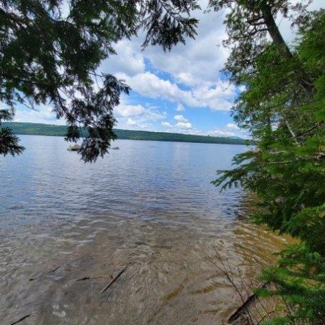 15, 15.1 Wadleigh Pond Road T4 Indian Purchase Twp ME 04462
