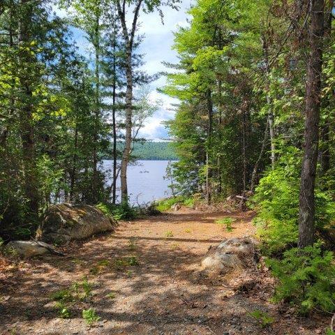 15, 15.1 Wadleigh Pond Road T4 Indian Purchase Twp ME 04462