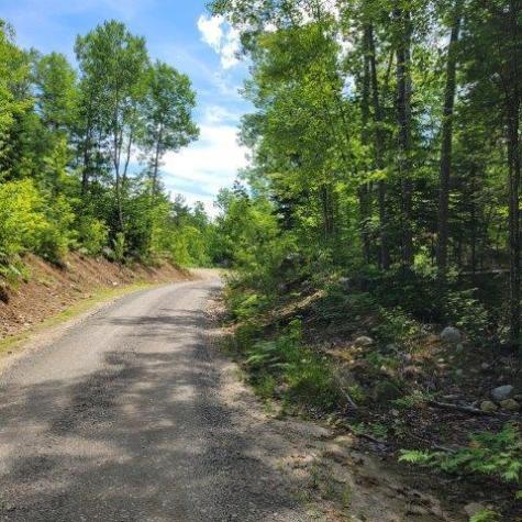 15, 15.1 Wadleigh Pond Road T4 Indian Purchase Twp ME 04462