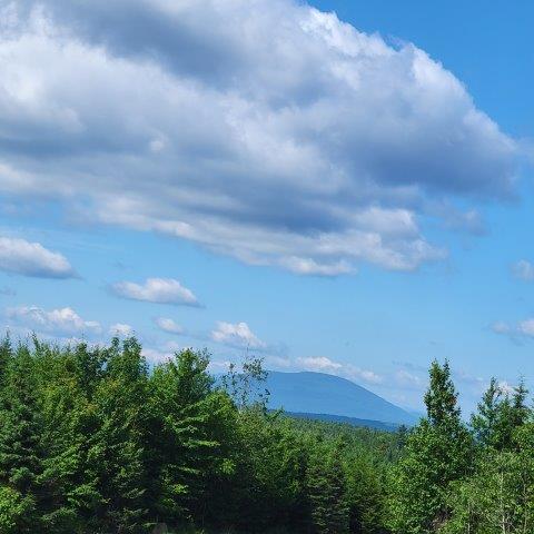 15, 15.1 Wadleigh Pond Road T4 Indian Purchase Twp ME 04462
