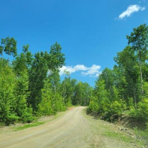 15, 15.1 Wadleigh Pond Road T4 Indian Purchase Twp ME 04462