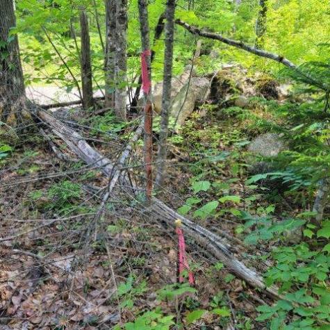 15, 15.1 Wadleigh Pond Road T4 Indian Purchase Twp ME 04462