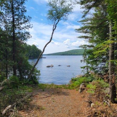 15, 15.1 Wadleigh Pond Road T4 Indian Purchase Twp ME 04462