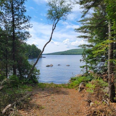 15, 15.1 Wadleigh Pond Road T4 Indian Purchase Twp ME 04462