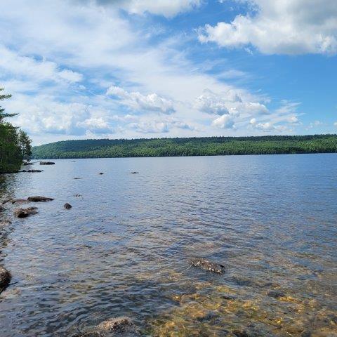 15, 15.1 Wadleigh Pond Road T4 Indian Purchase Twp ME 04462