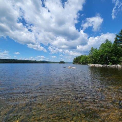 15, 15.1 Wadleigh Pond Road T4 Indian Purchase Twp ME 04462