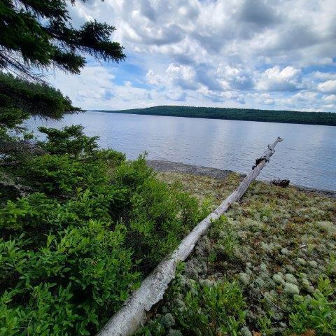15, 15.1 Wadleigh Pond Road T4 Indian Purchase Twp ME 04462