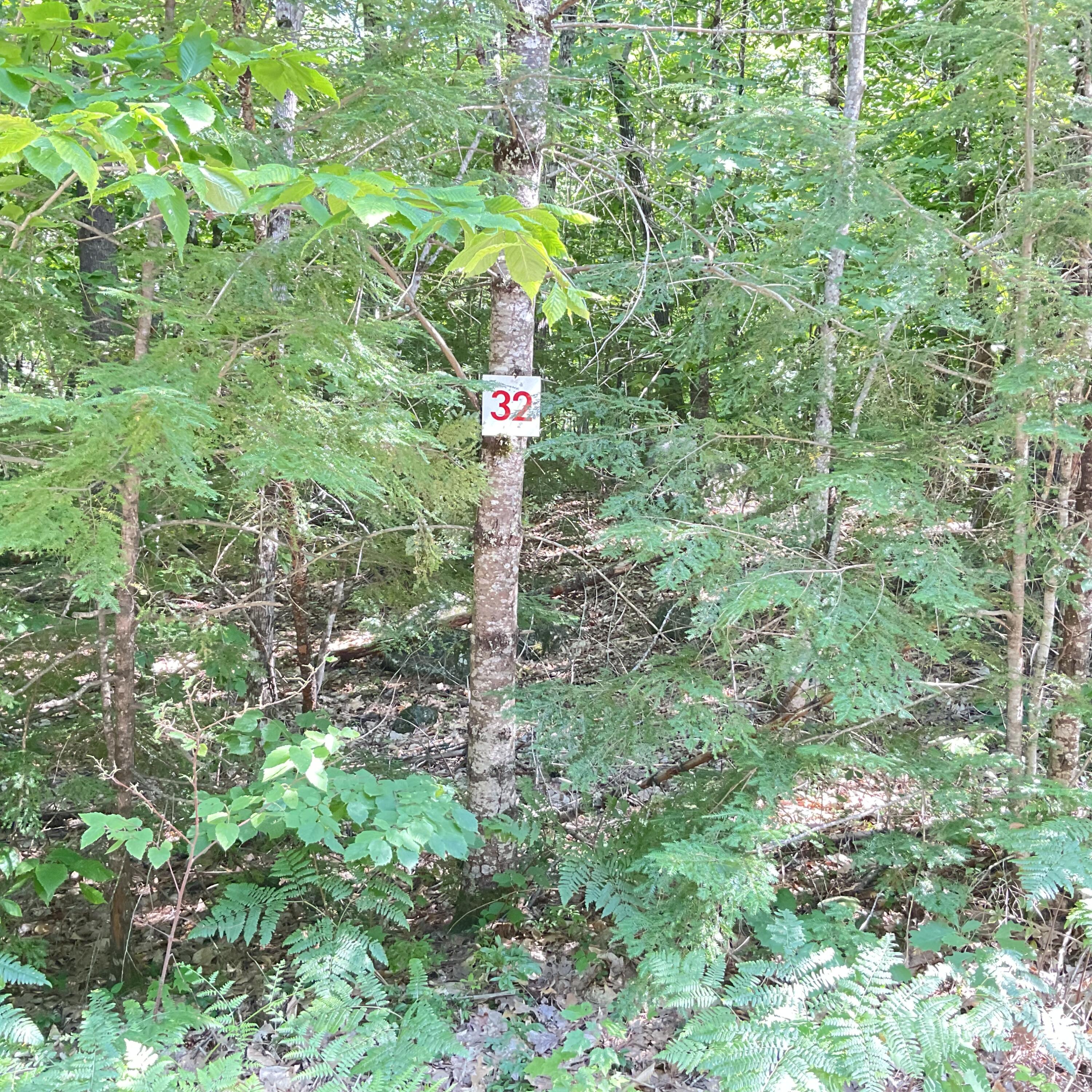 Lot 32 Lake House Road Naples ME 04055