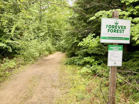 Lot 32 Lake House Road Naples ME 04055