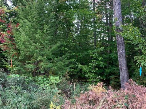 0 Chaplin Mills Road Bridgton ME 04009