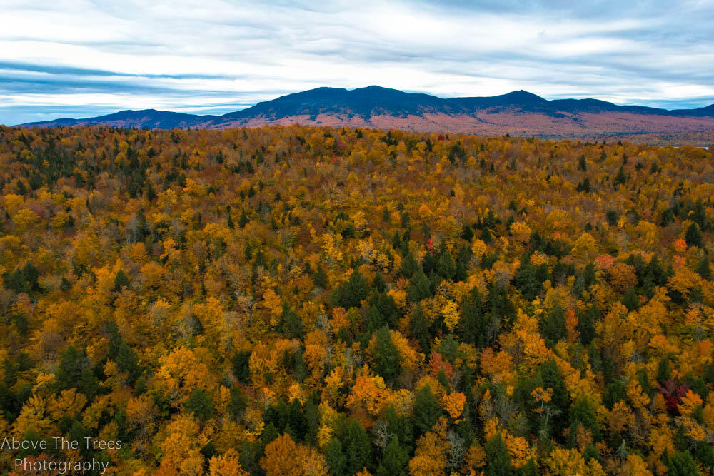 T3 R4 Bkp Wkr ME 04961