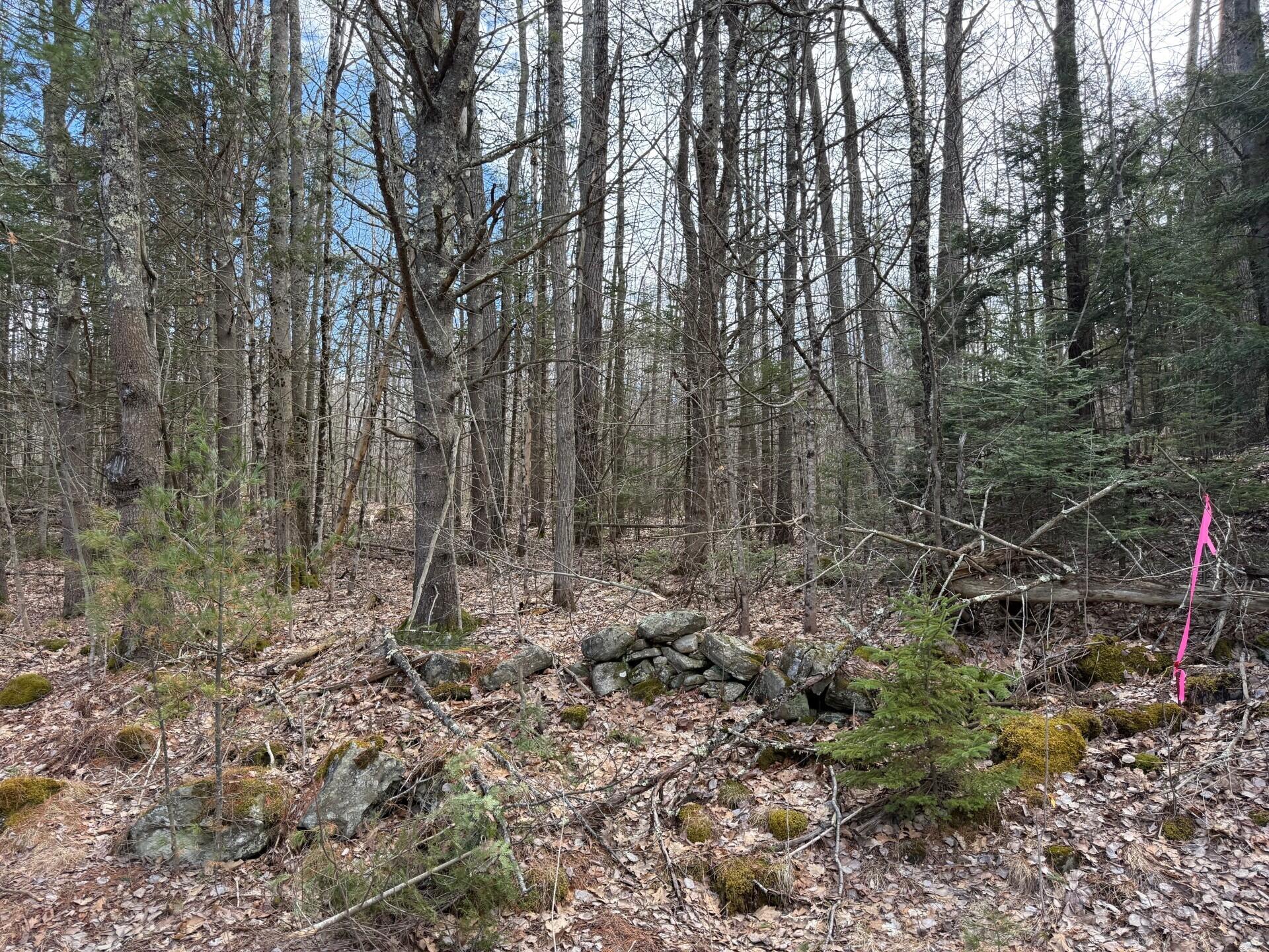 864 Winslows Mills Road Waldoboro ME 04572