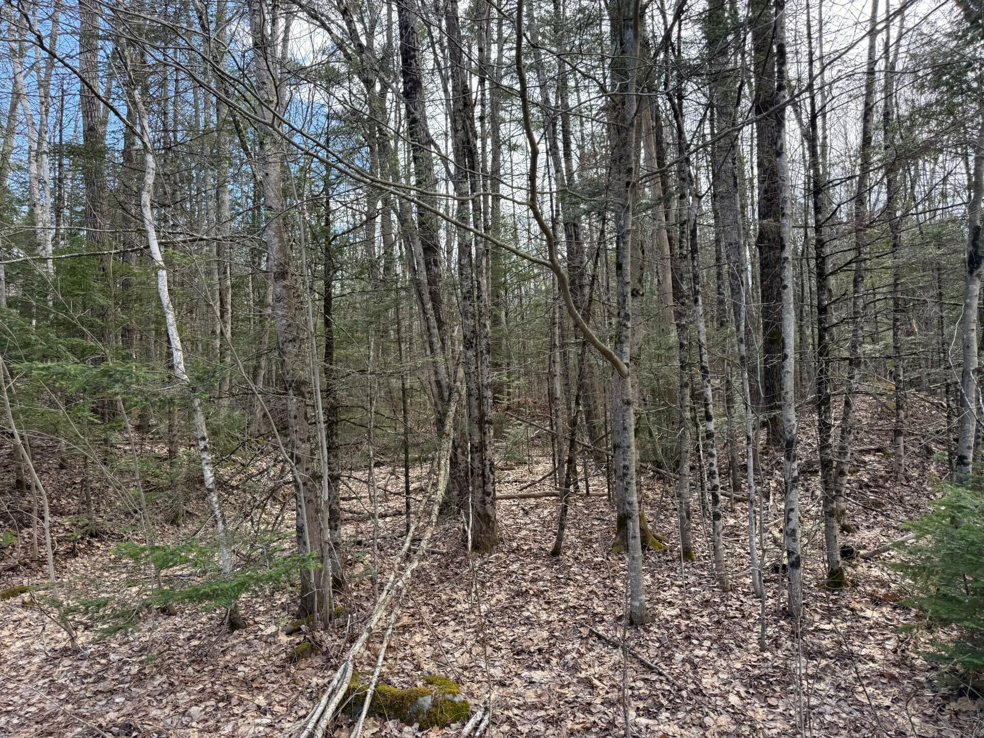 864 Winslows Mills Road Waldoboro ME 04572