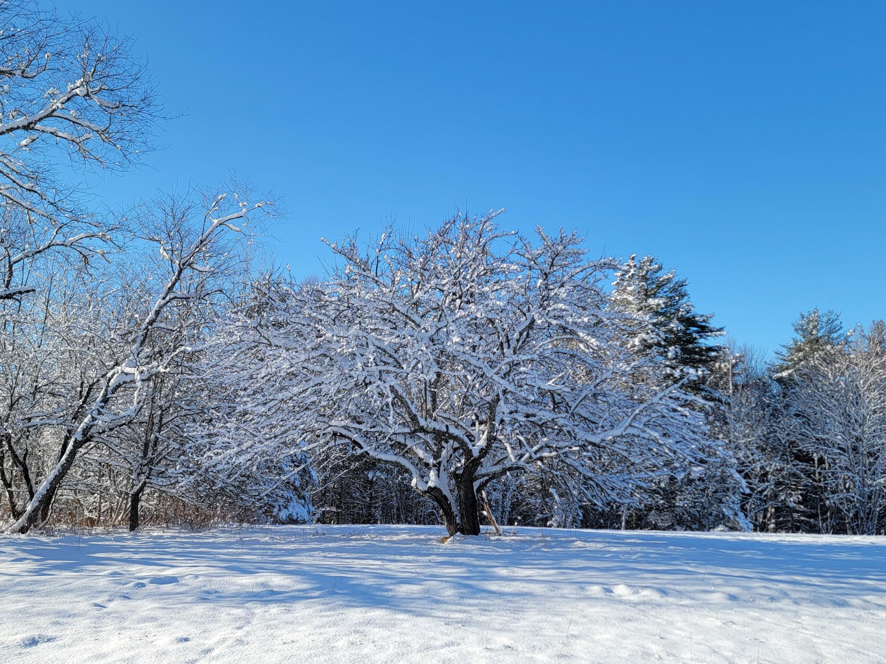 4-8 Macomber Mill Road Eastbrook ME 04634