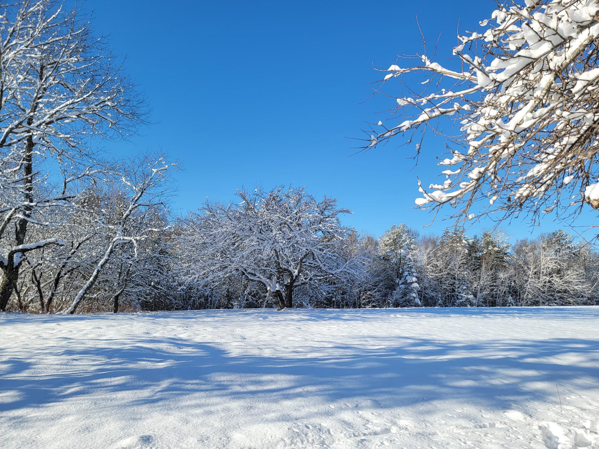 4-8 Macomber Mill Road Eastbrook ME 04634