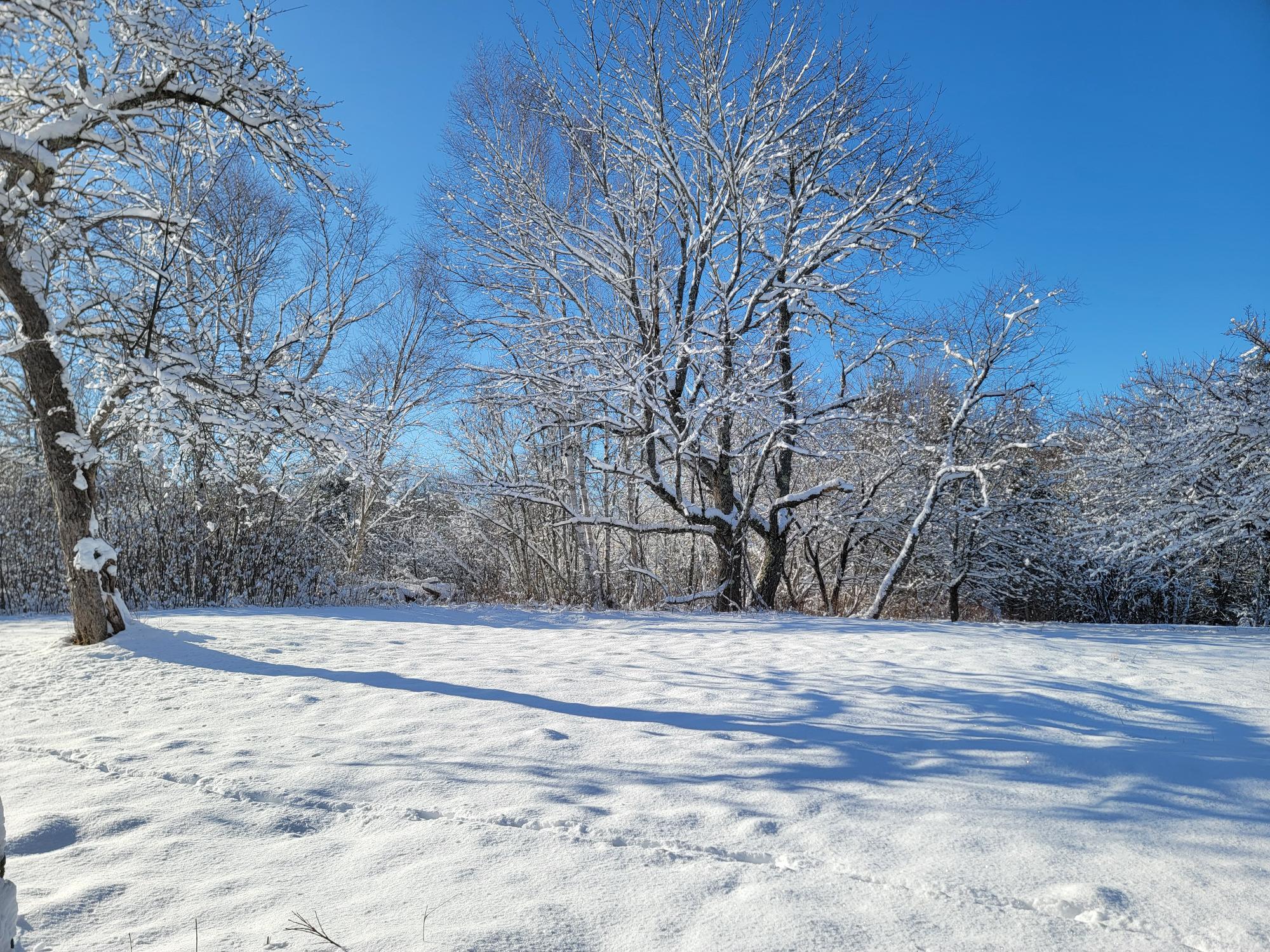 4-8 Macomber Mill Road Eastbrook ME 04634