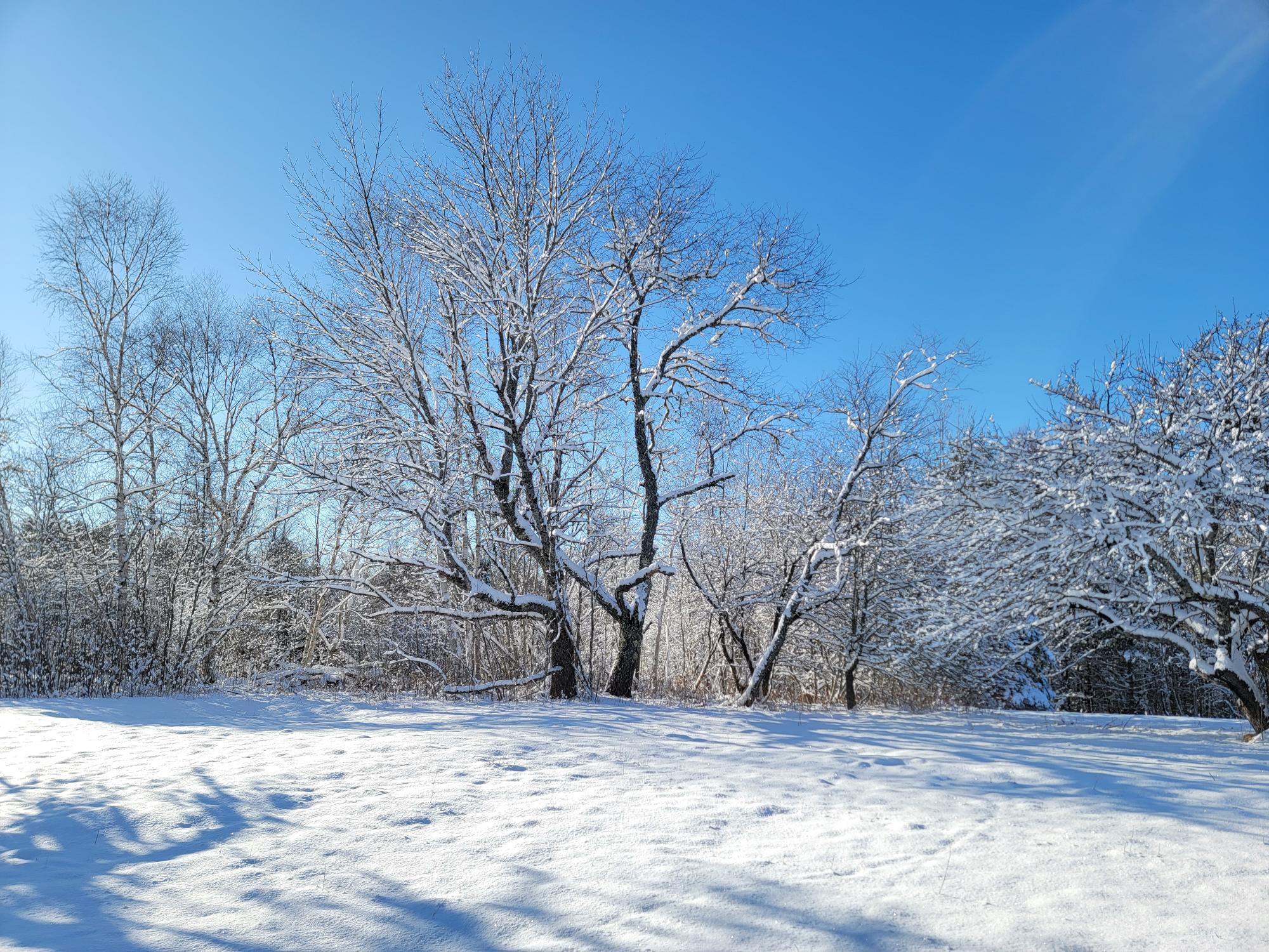 4-8 Macomber Mill Road Eastbrook ME 04634