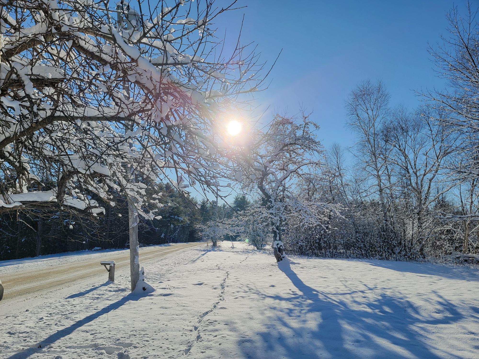 4-8 Macomber Mill Road Eastbrook ME 04634