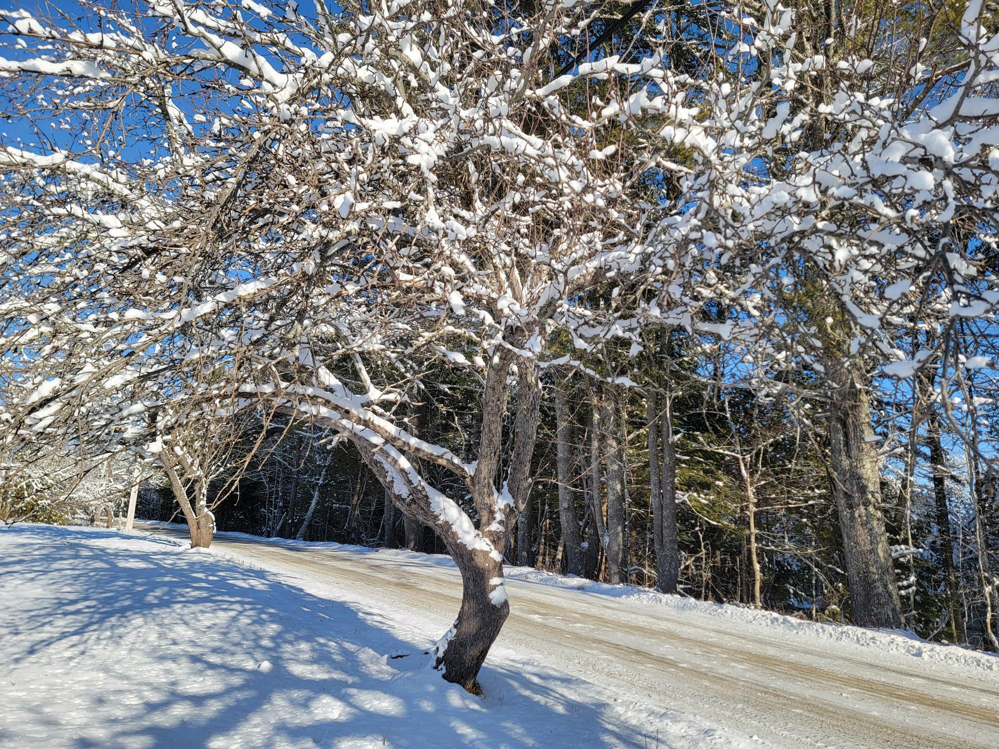 4-8 Macomber Mill Road Eastbrook ME 04634