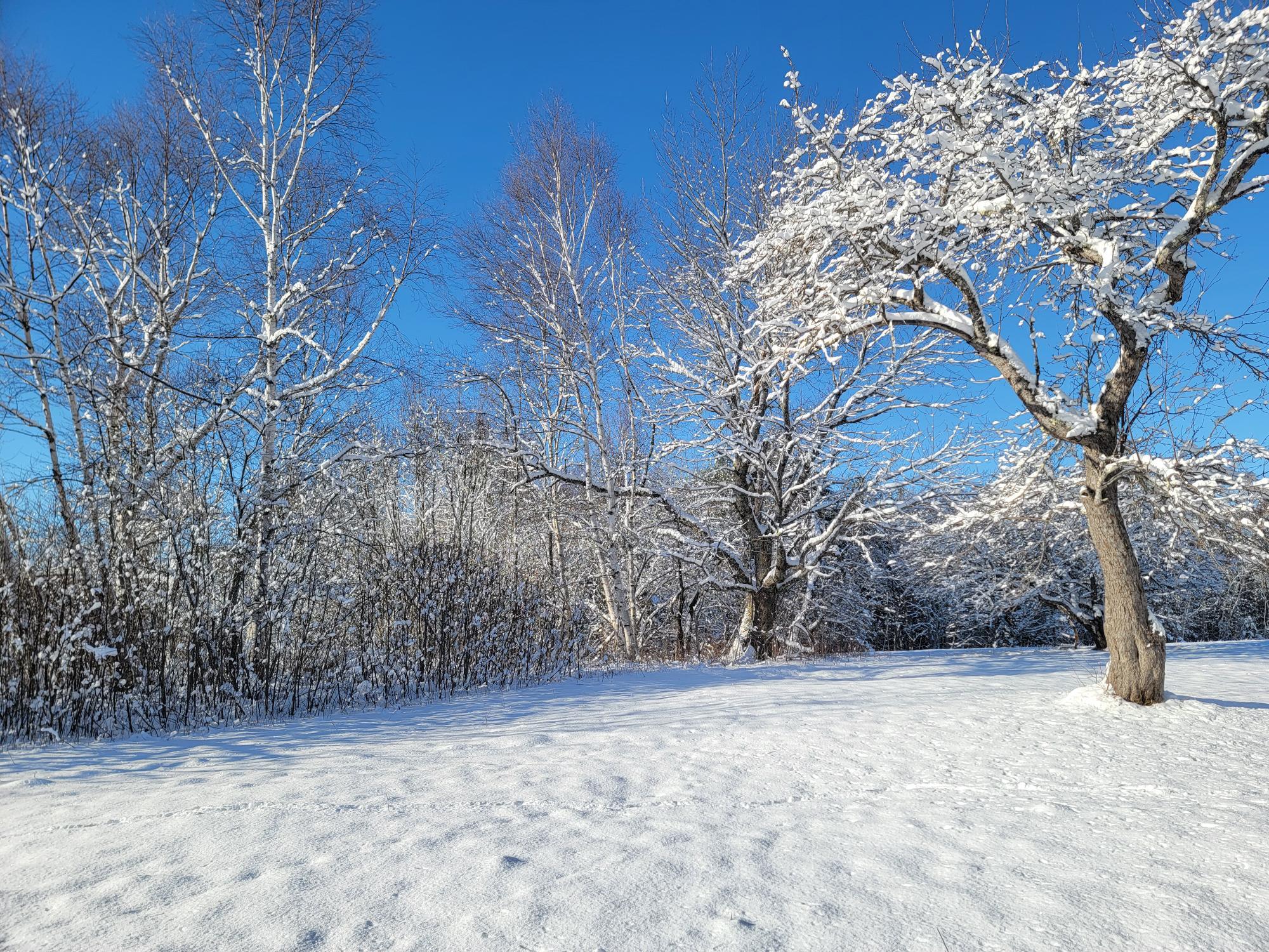 4-8 Macomber Mill Road Eastbrook ME 04634