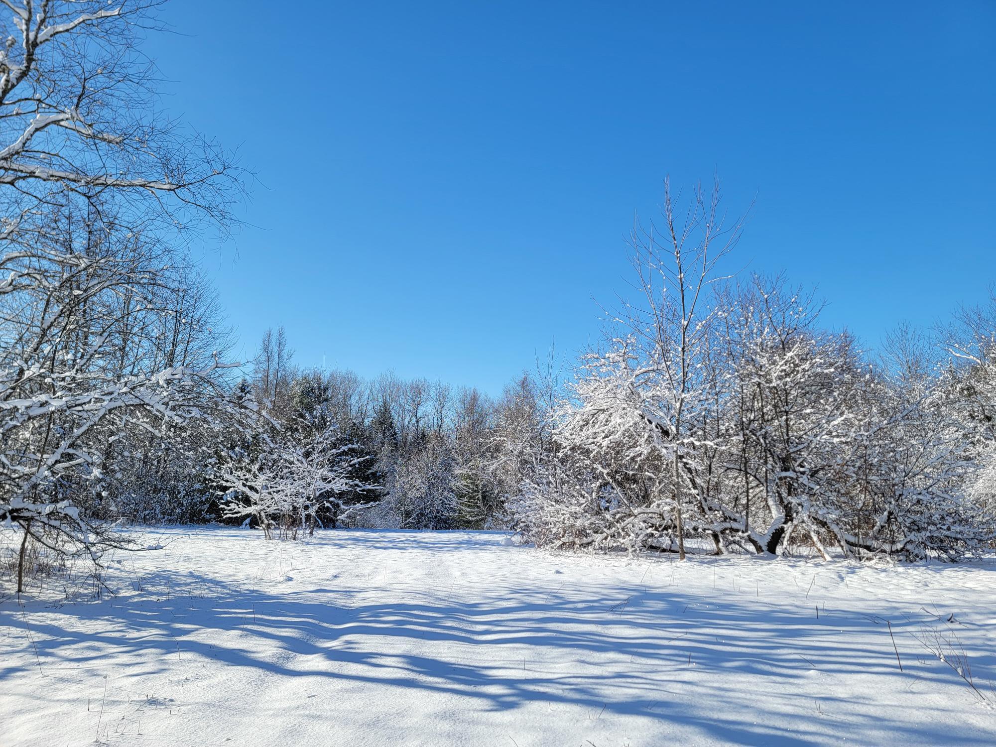 4-8 Macomber Mill Road Eastbrook ME 04634