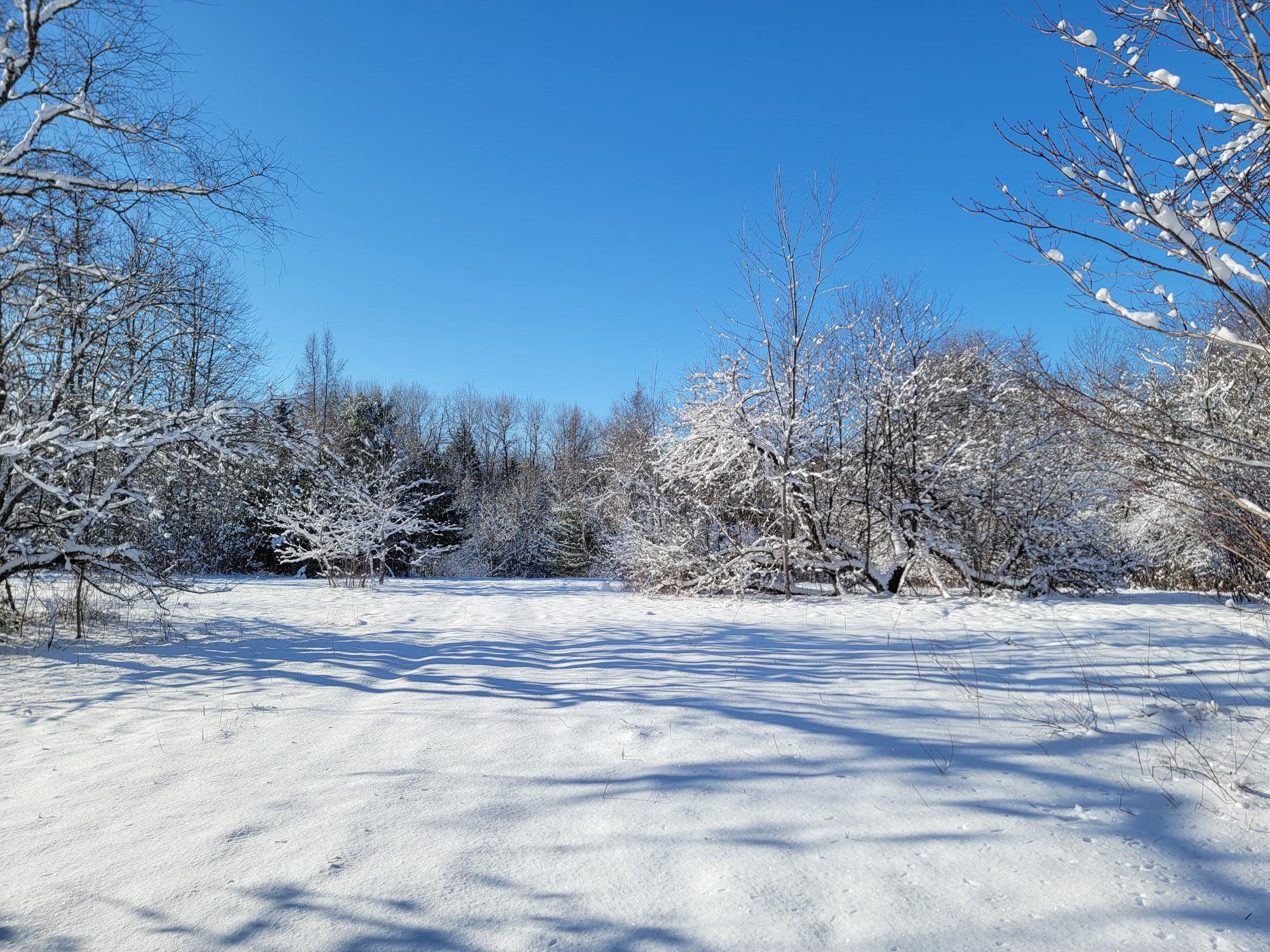 4-8 Macomber Mill Road Eastbrook ME 04634