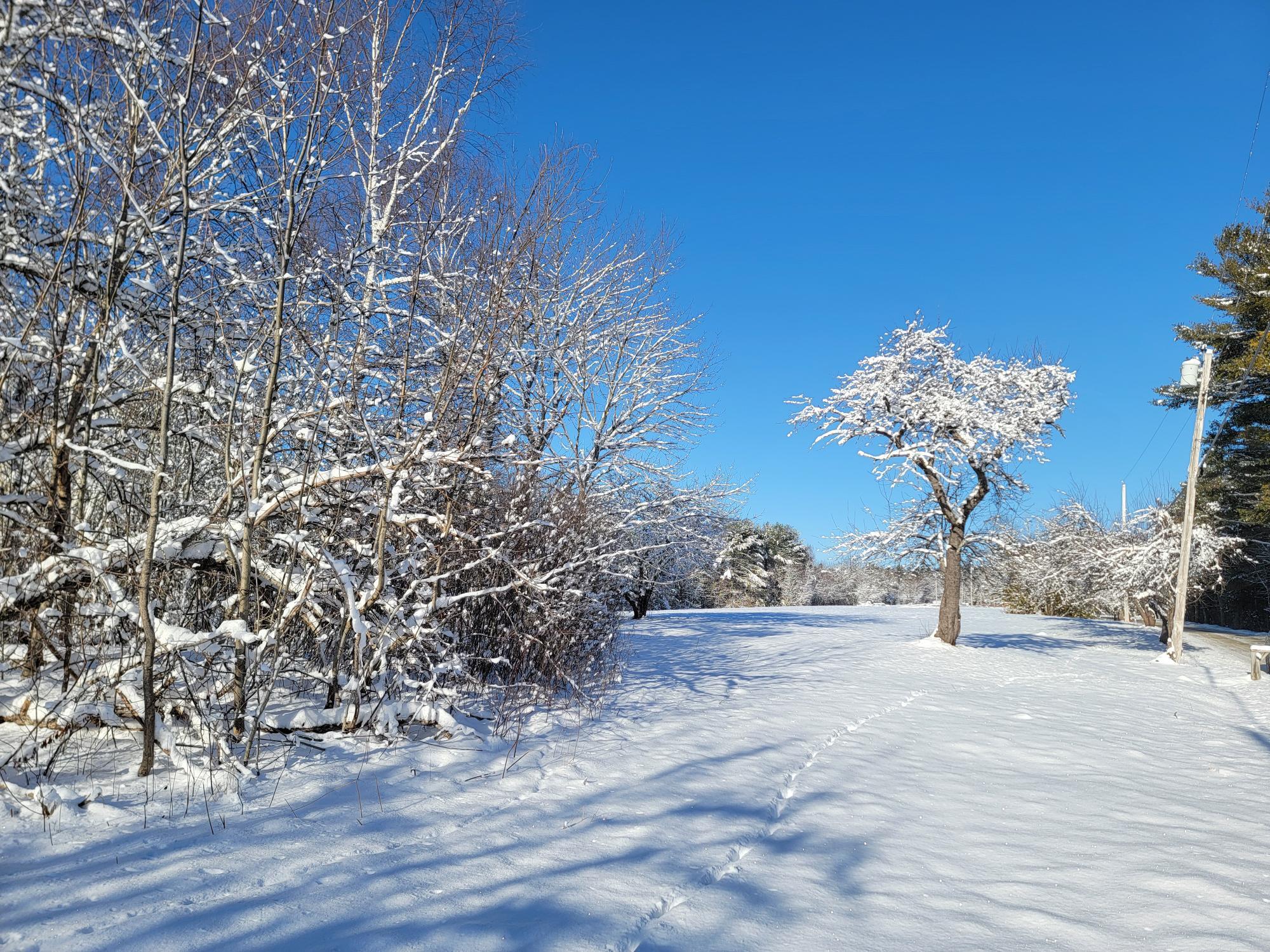 4-8 Macomber Mill Road Eastbrook ME 04634